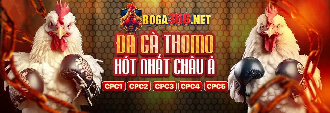 Đá Gà Trực Tuyến Hấp Dẫn tại 88vn nhà cái